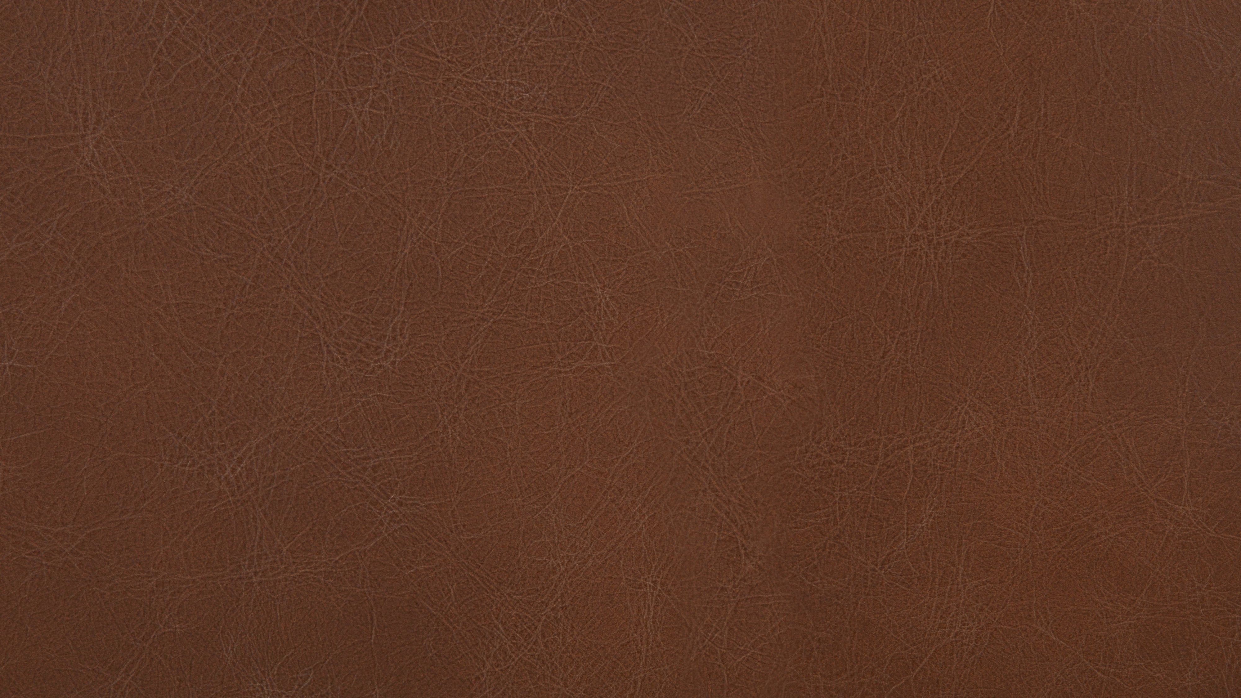 Novel Lounge Chair, Dark Saddle