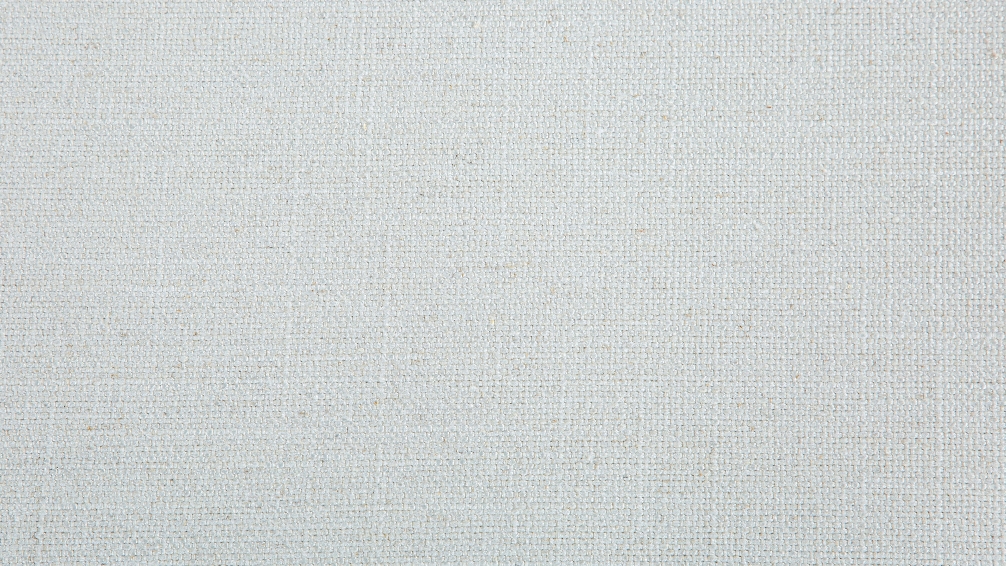 Carroll Sofa, Turtledove
