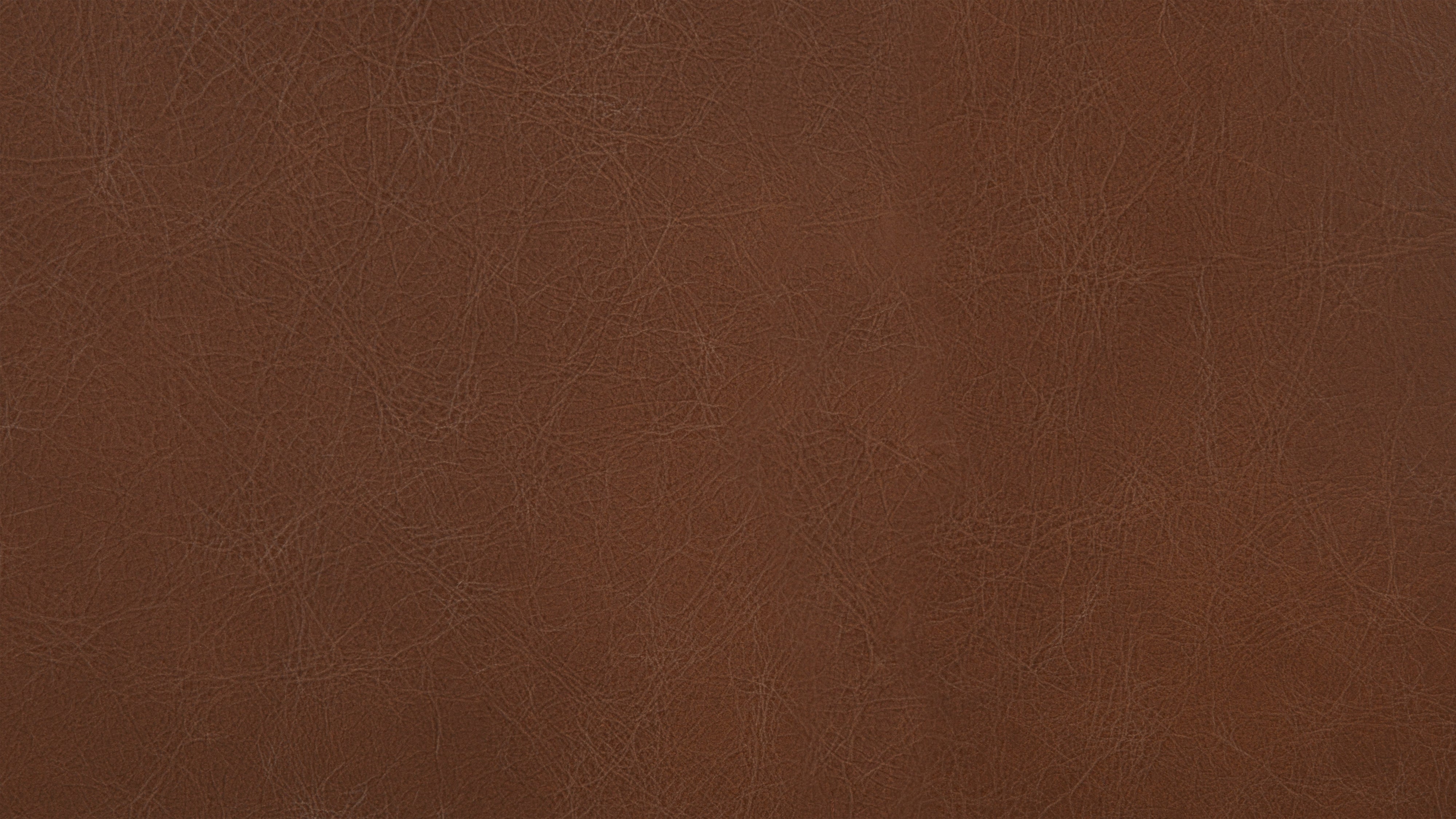 Novel Sofa, Dark Saddle